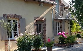 Magnolia54